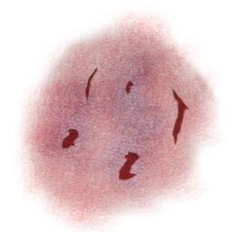 Bite wound.png